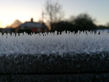 Close-up of frozen water against sky