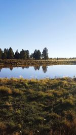 Reflection of trees in lake against clear sky