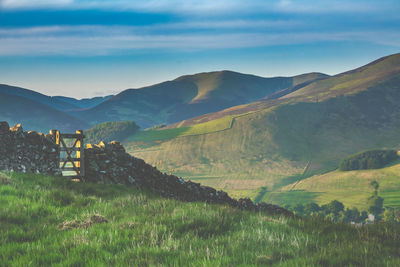 Traditional dry stone wall in the rolling scottish borders countryside