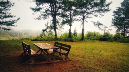 Empty bench on field by trees against sky