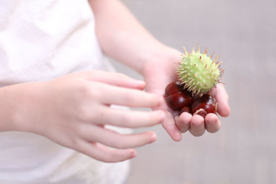 Close-up of hand holding apple