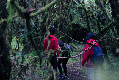 Rear view of people walking in forest