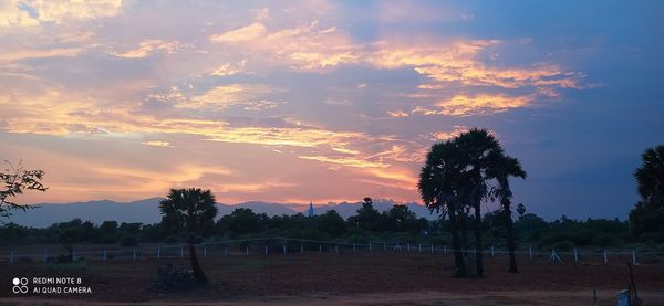 Trees on field against sky during sunset