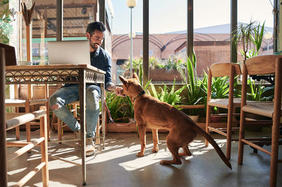 Young man sitting on chair at table
