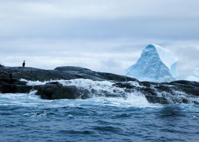 Waves against rocks with bird and iceberg in the background in antarctica