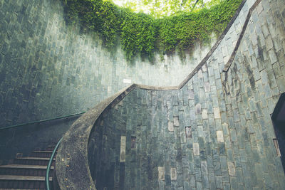 High angle view of concrete wall by trees