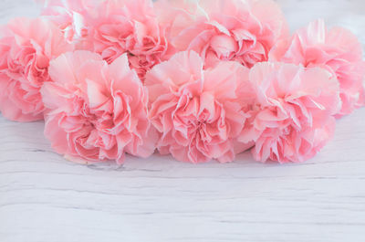 Close-up of pink flowers on table