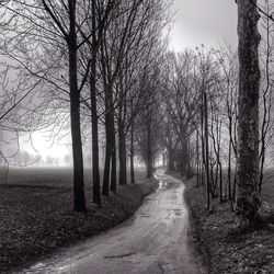 Road passing through agricultural field