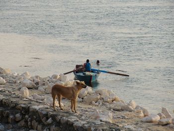 Man on rocks by river 