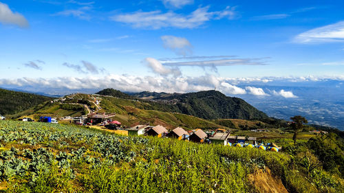 Scenic view of field and houses against sky