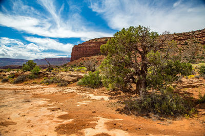 Scenic view of desert against sky