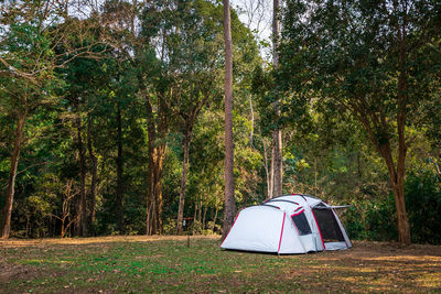 Tent on land against forest