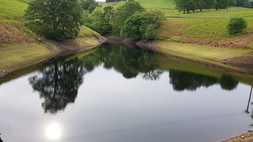 Reflection of trees in lake against sky