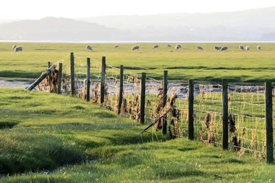 View of fence in field