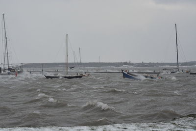 Sailboats sailing in sea against sky