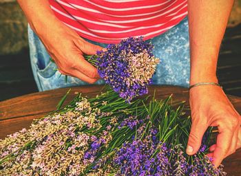 Woman hands binding lavender flowers with scissors and string. gathering a bouquet of lavender.