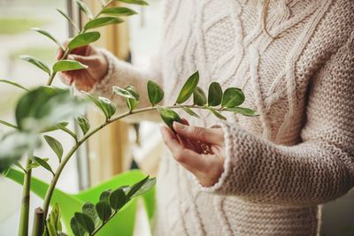 Midsection of woman touching plant