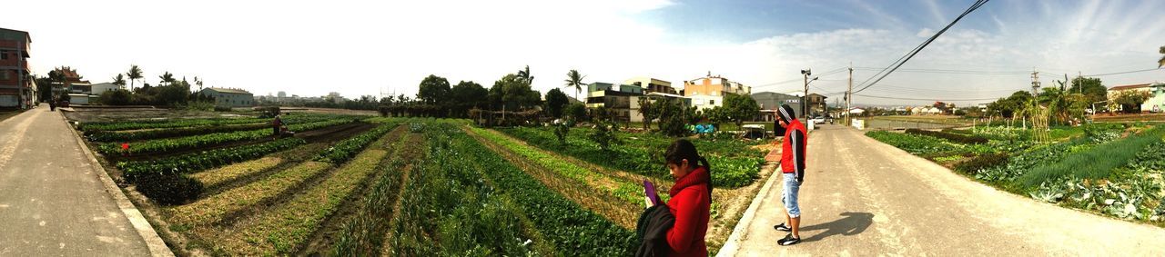 sky, building exterior, grass, agriculture, transportation, field, architecture, built structure, road, rural scene, the way forward, street, cloud - sky, farm, panoramic, day, green color, house, sunlight