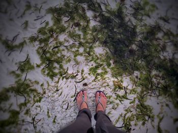 Low section of woman standing in the sea