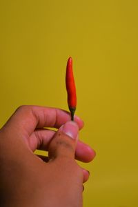 Close-up of hand holding red leaf against yellow background