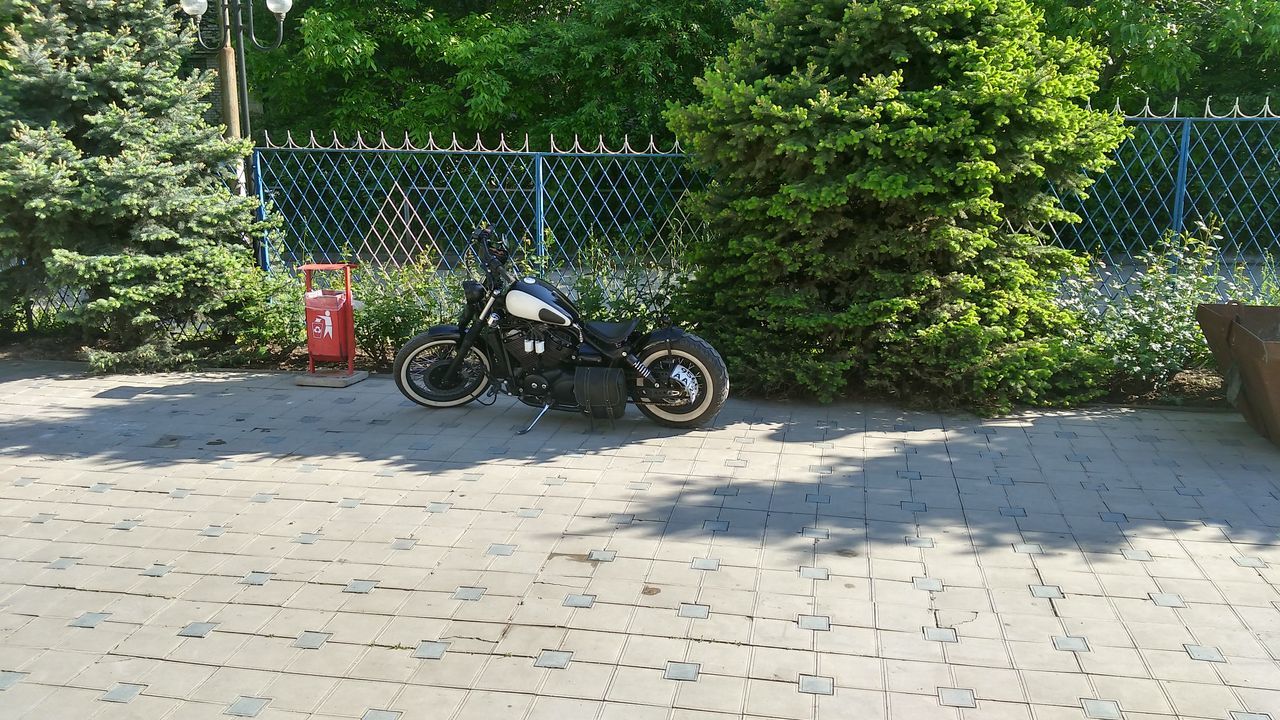 bicycle, transportation, land vehicle, mode of transport, stationary, parked, parking, tree, street, riding, day, road, outdoors, sunlight, wheel, cycling, cycle, shadow, travel, no people