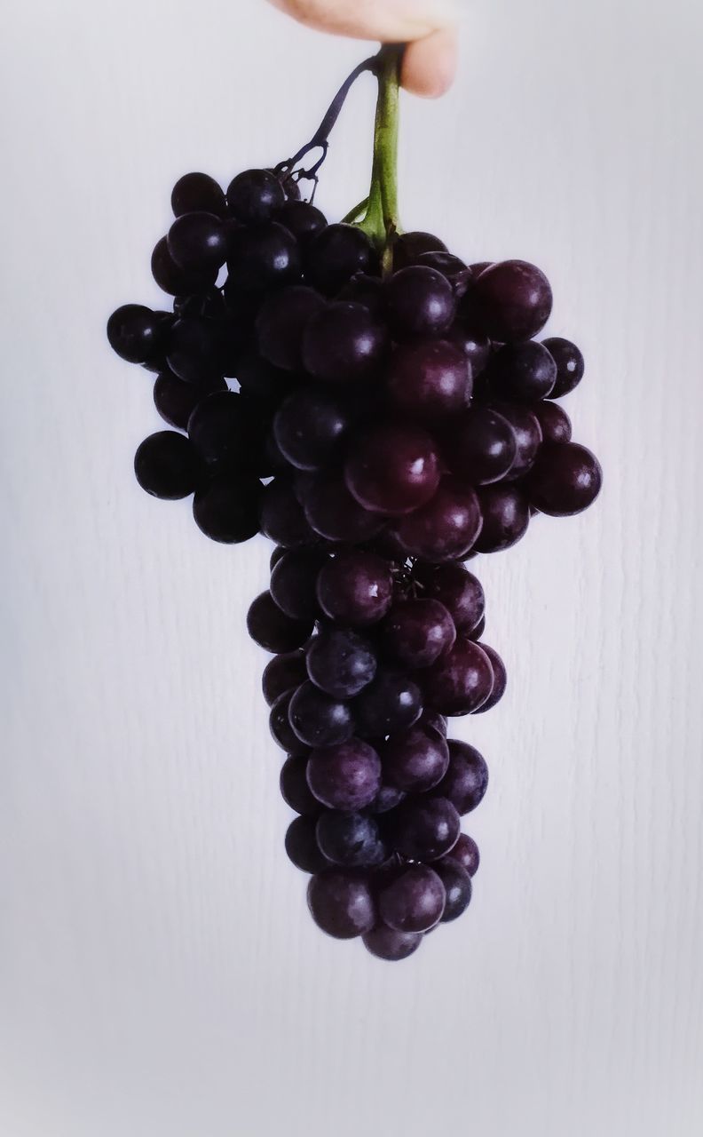 CLOSE-UP OF GRAPES IN CONTAINER