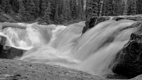 Scenic view of waterfall in forest