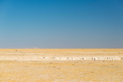 Scenic view of landscape against clear blue sky