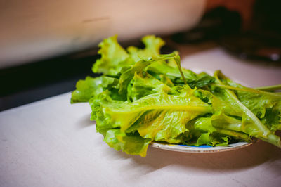 High angle view of salad in plate