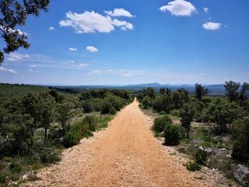 Road amidst trees and plants against sky