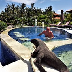 Full length of shirtless man in swimming pool