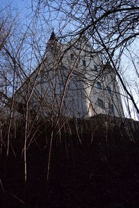Low angle view of bare trees against clear sky