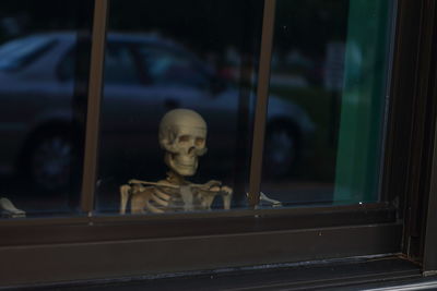 Human skull seen through glass window