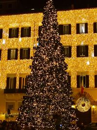 Low angle view of illuminated christmas tree