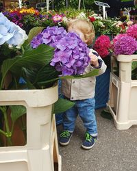 Boy standing by flowers at market stall