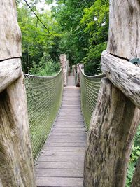 Wooden footbridge in forest