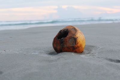 Close-up of orange slice on beach