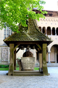 Architectural column of building