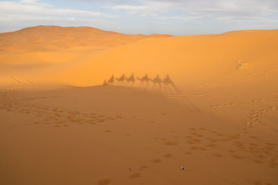 Scenic view of desert against sky during sunset