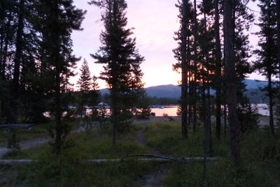Scenic view of lake in forest against sky at sunset