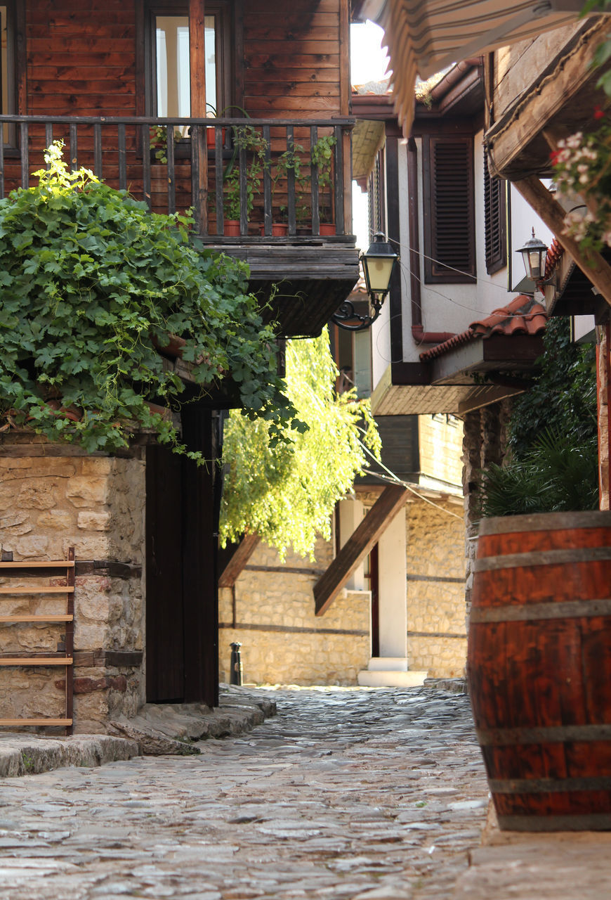 ENTRANCE OF HOUSE