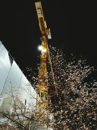 Low angle view of illuminated christmas tree against sky at night