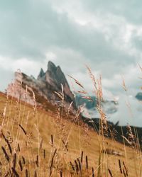 Paesaggio incantevole in quel di seceda