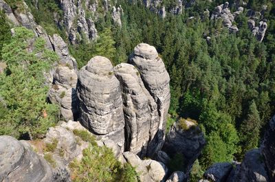 View of rock formations in forest