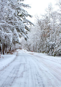Snow covered road amidst trees during winter