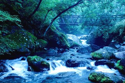 River flowing through rocks