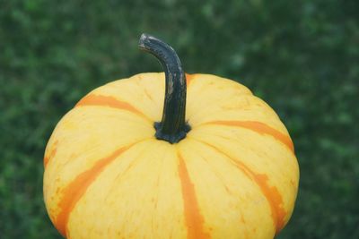 Close-up of pumpkin against green grass