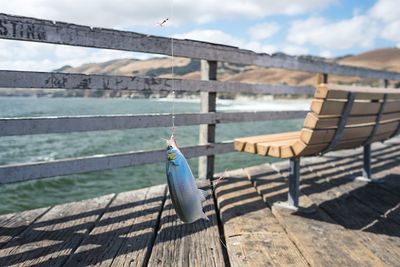 Fish hanging on thread above pier over sea