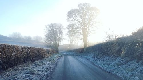 Road amidst bare trees against clear sky during winter