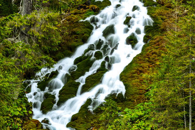 River flowing through rocks